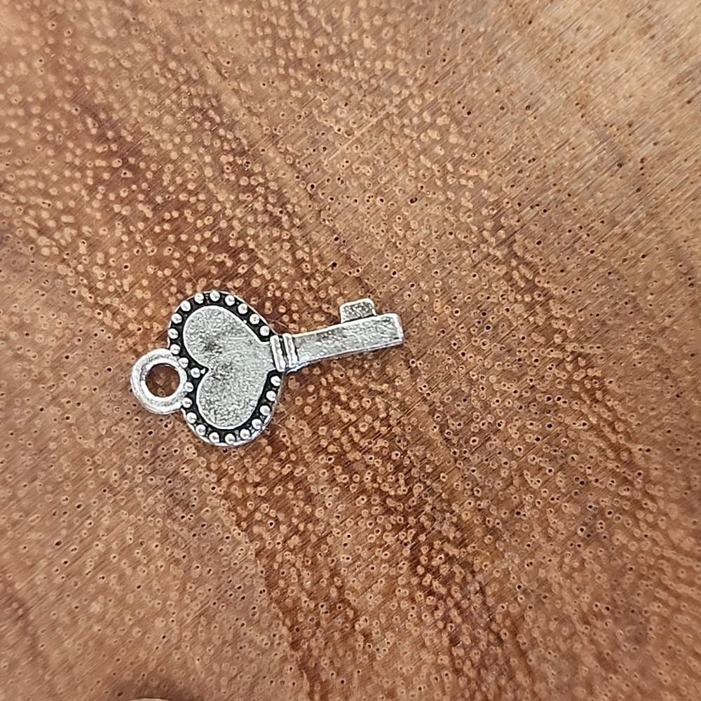 CELLPHONE ACCESSORIES / NWOT - Picture 8 of 10